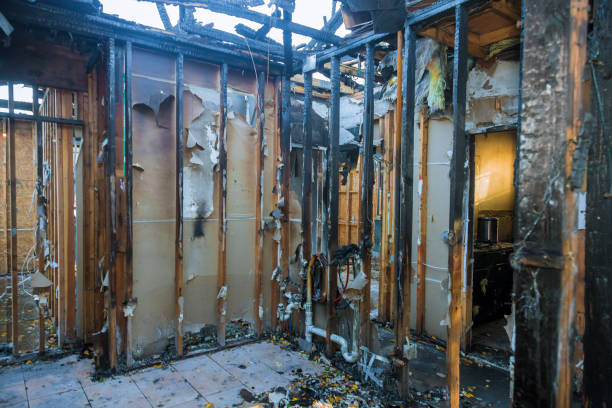 Professional Fire Damage Removal technician working in Pine Bush, NY